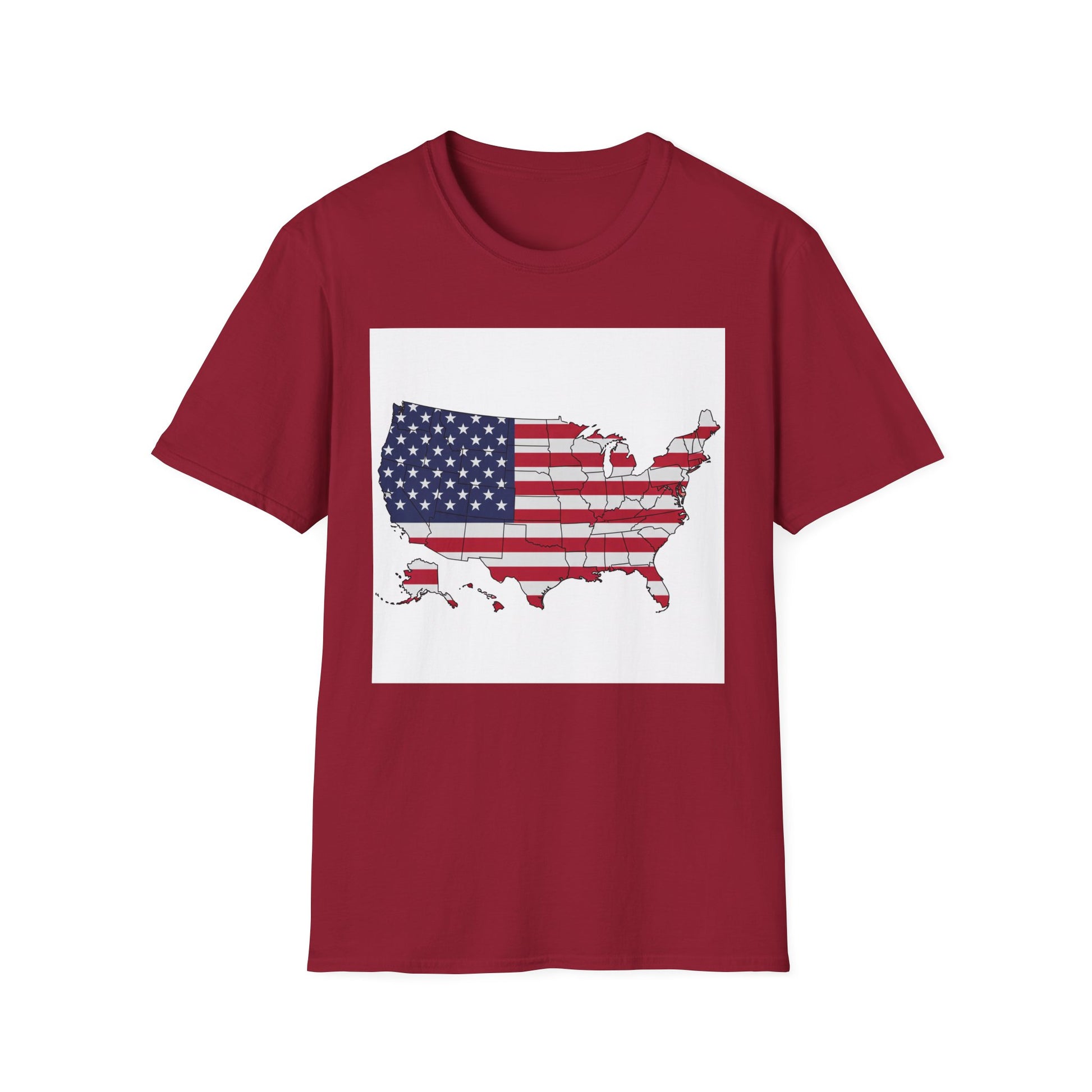 American Heritage Graphic Short Tee - "United We Stand v2"