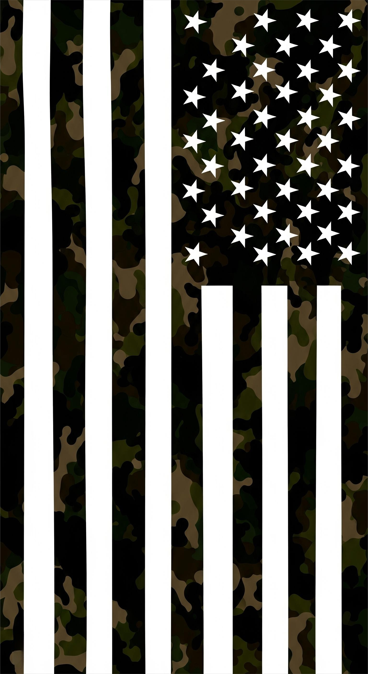 American Heritage Graphic Short Tee - "Army Green Camo"