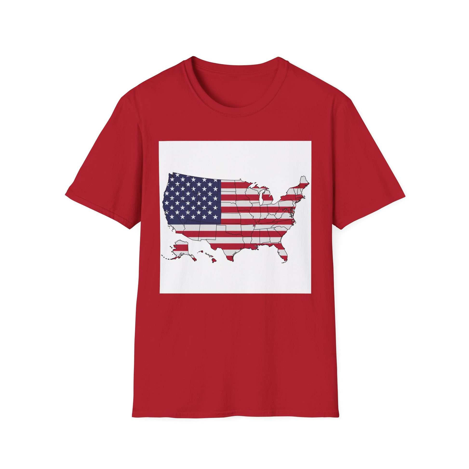 American Heritage Graphic Short Tee - "United We Stand v2"