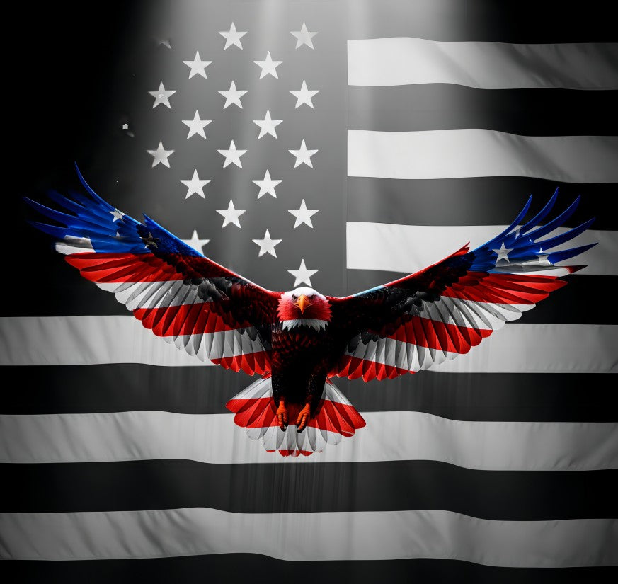 American Heritage Graphic Long Sleeve Tee - "Soaring Eagle"