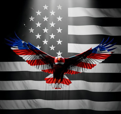 American Heritage Graphic Long Sleeve Tee - "Soaring Eagle"